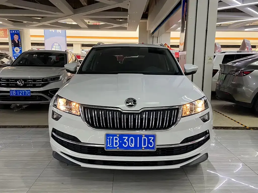Skoda Karoq 2024 из CN, фото 2