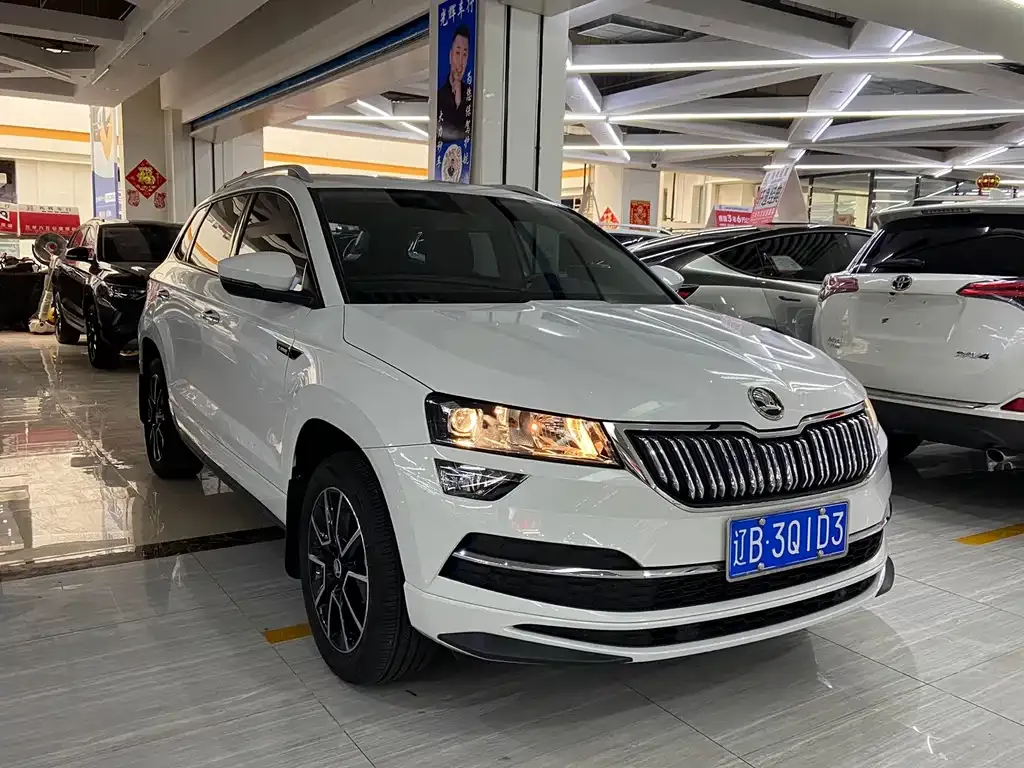 Skoda Karoq 2024 из CN, фото 3