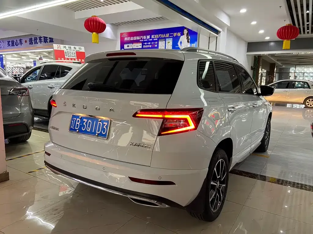 Skoda Karoq 2024 из CN, фото 6
