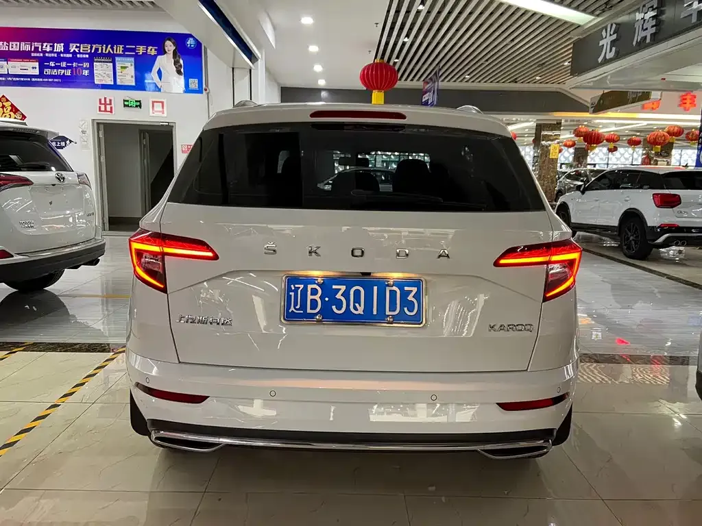 Skoda Karoq 2024 из CN, фото 5