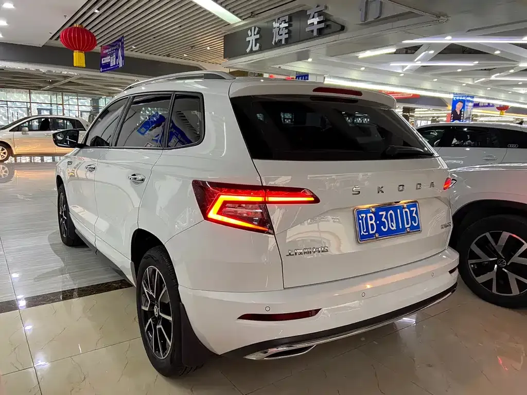 Skoda Karoq 2024 из CN, фото 4
