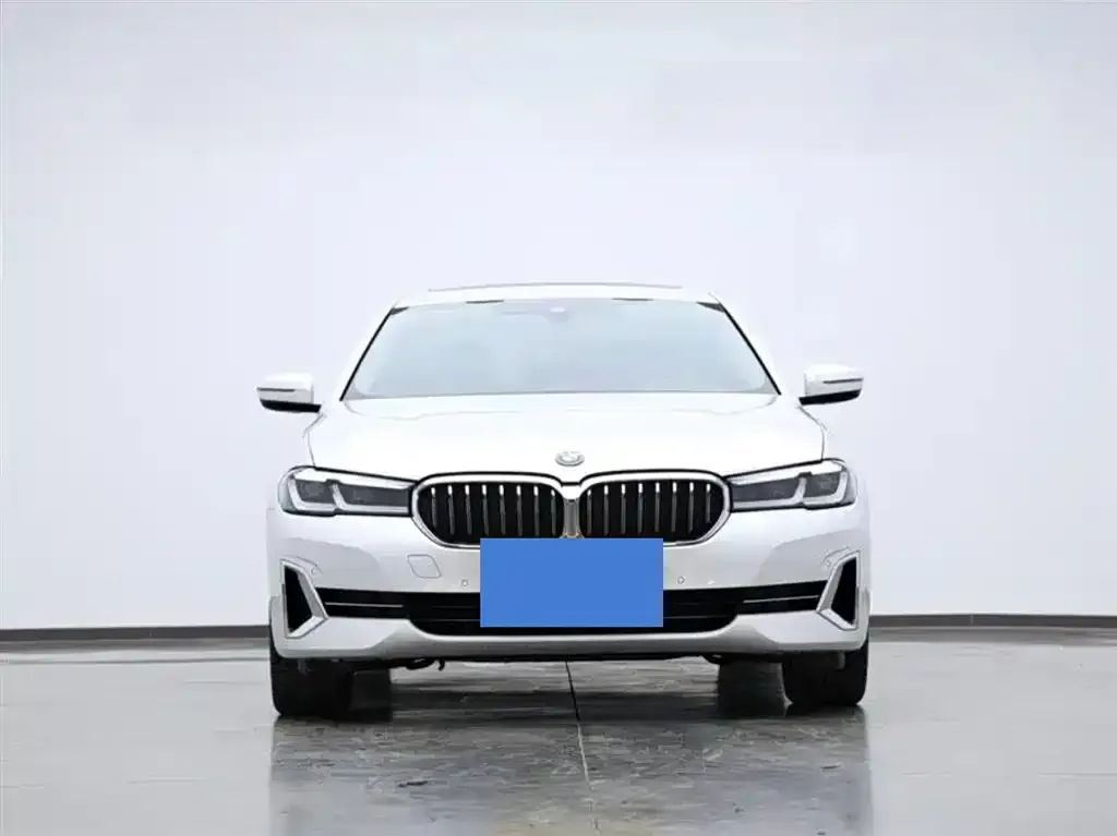 BMW 5 Series New Energy 2022 из CN, фото 3