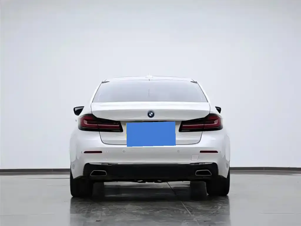 BMW 5 Series New Energy 2022 из CN, фото 6