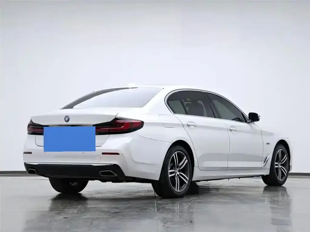 BMW 5 Series New Energy 2022 из CN, фото 9