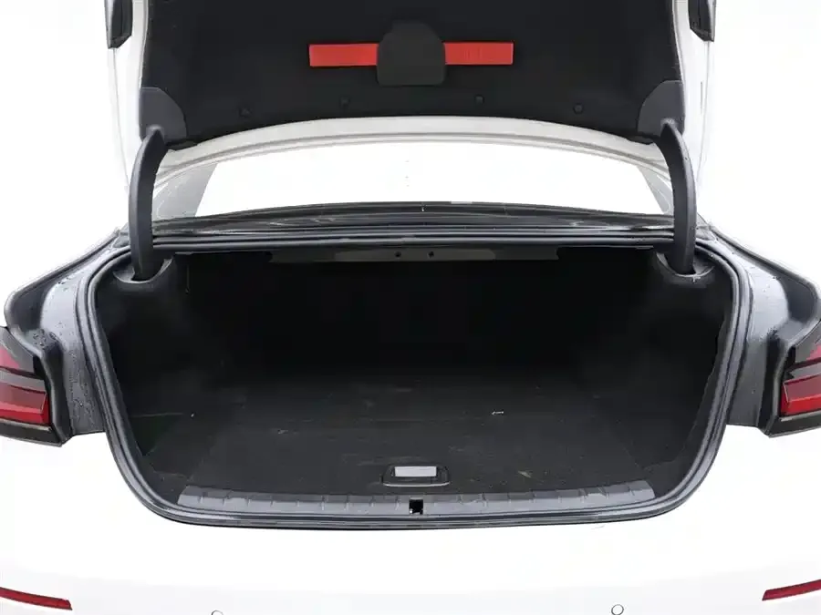 BMW 5 Series New Energy 2022 из CN, фото 2