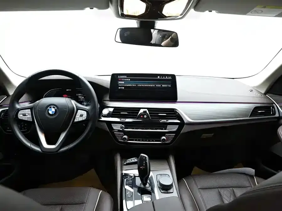 BMW 5 Series New Energy 2022 из CN, фото 4