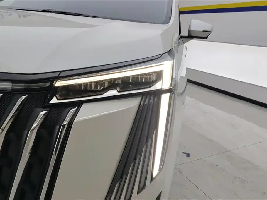 GAC Motor Trumpchi M8 2023 из CN, фото 10