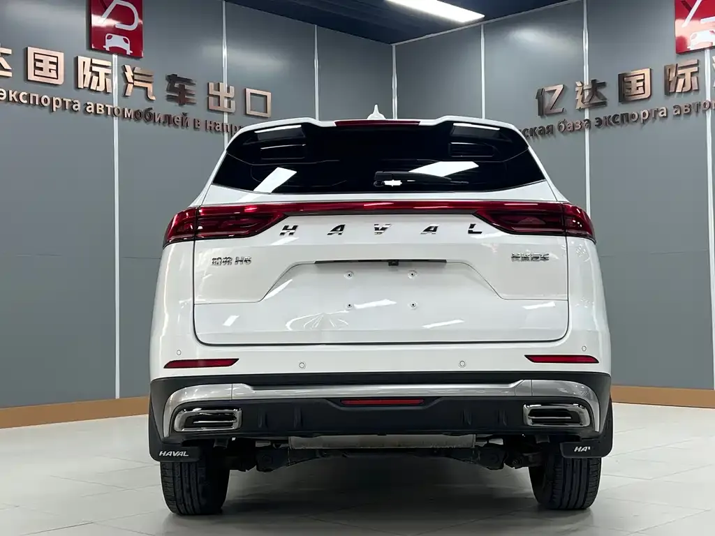 Haval H6 2021 из CN, фото 6