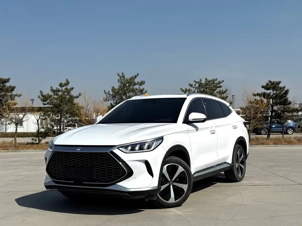 BYD PLUS New Energy — фото 1