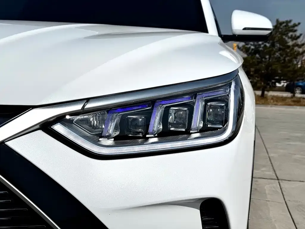 BYD PLUS New Energy — фото 3