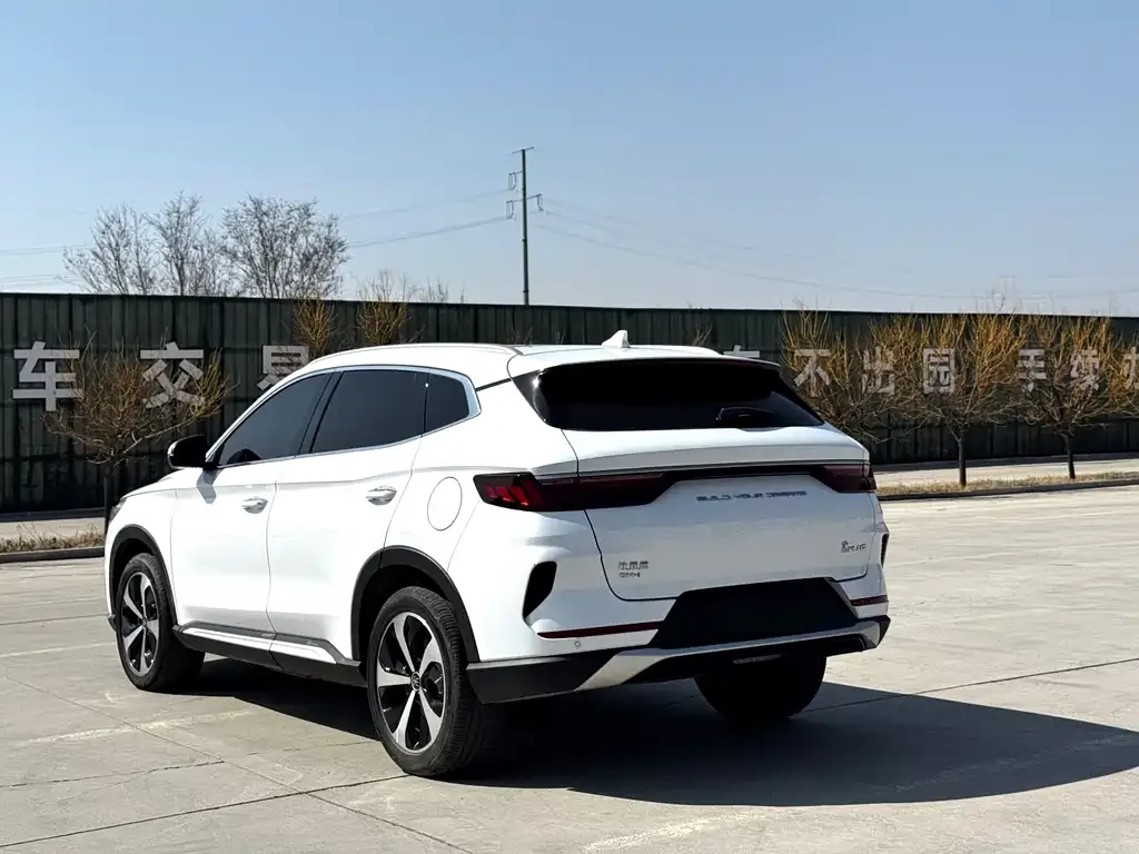 BYD PLUS New Energy — фото 10