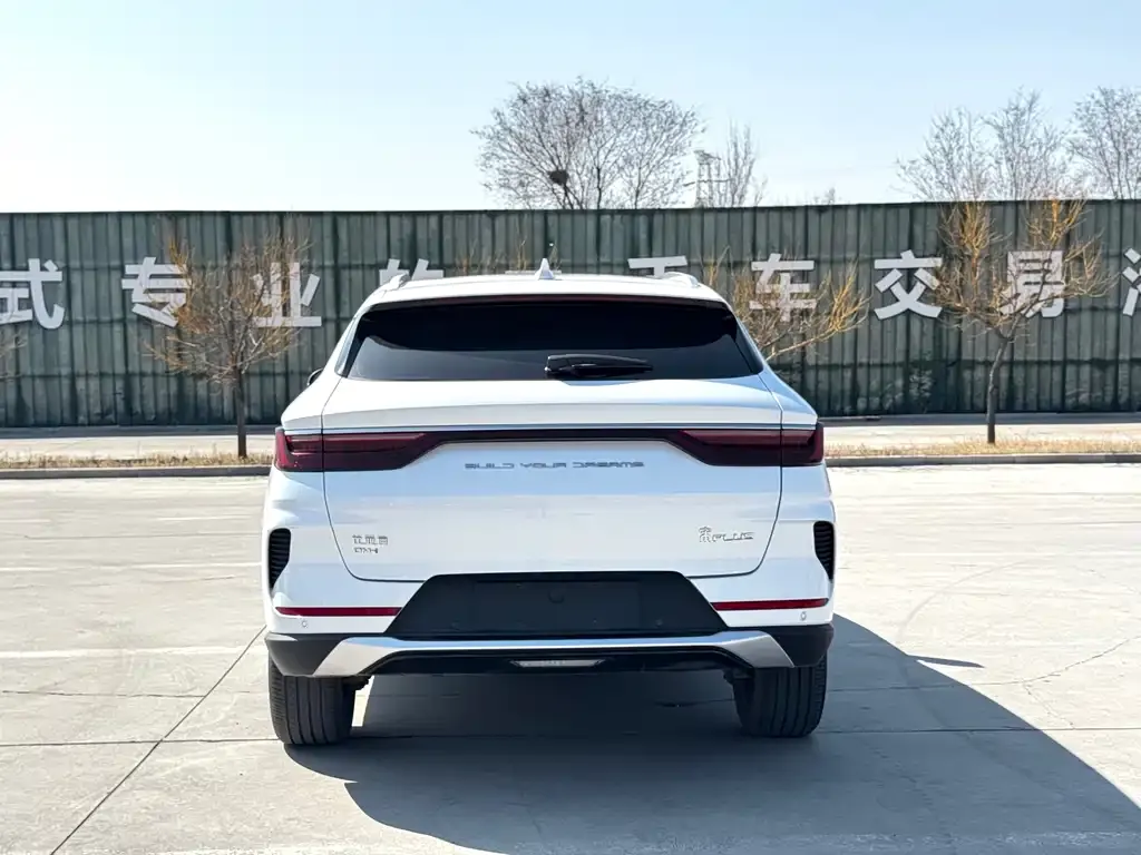 BYD PLUS New Energy — фото 7