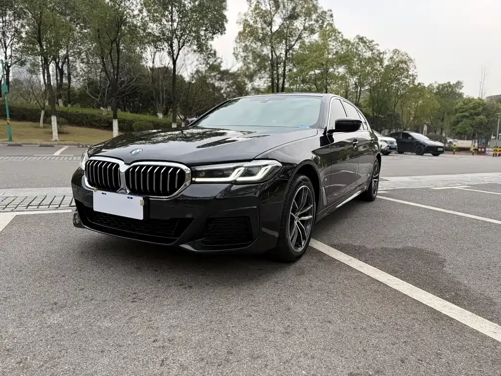 BMW 5 Series 2022 из CN, фото 1