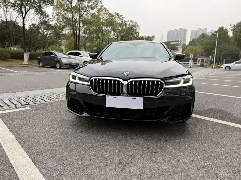 BMW 5 Series 2022 из CN, фото 9