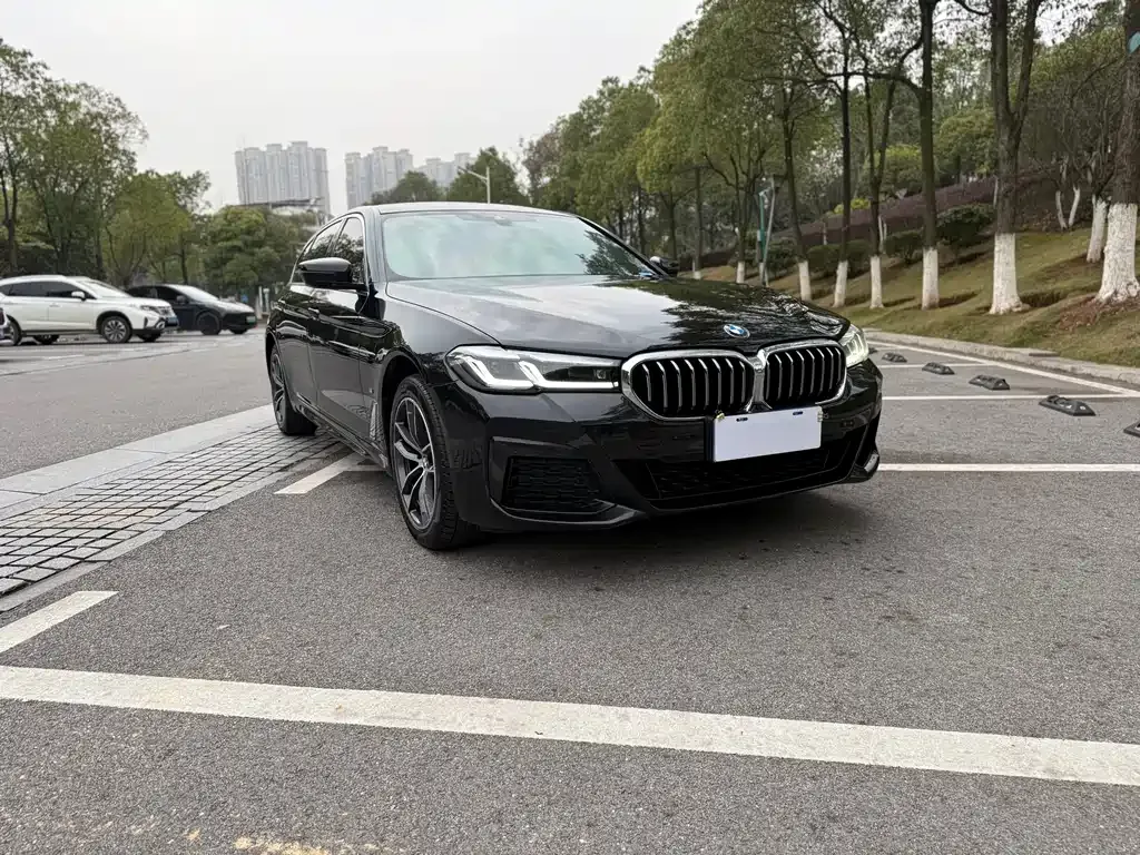 BMW 5 Series 2022 из CN, фото 10