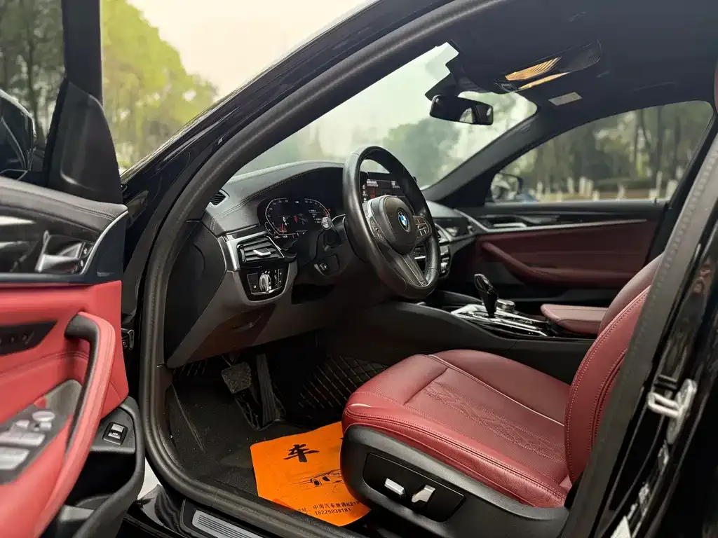 BMW 5 Series 2022 из CN, фото 3