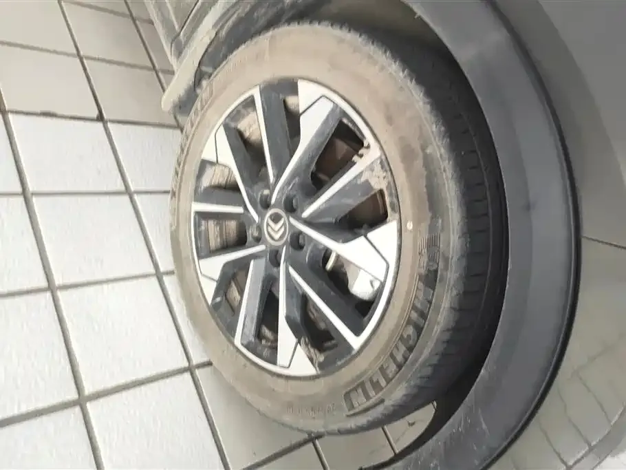 Citroen C5 X 2023 из CN, фото 6