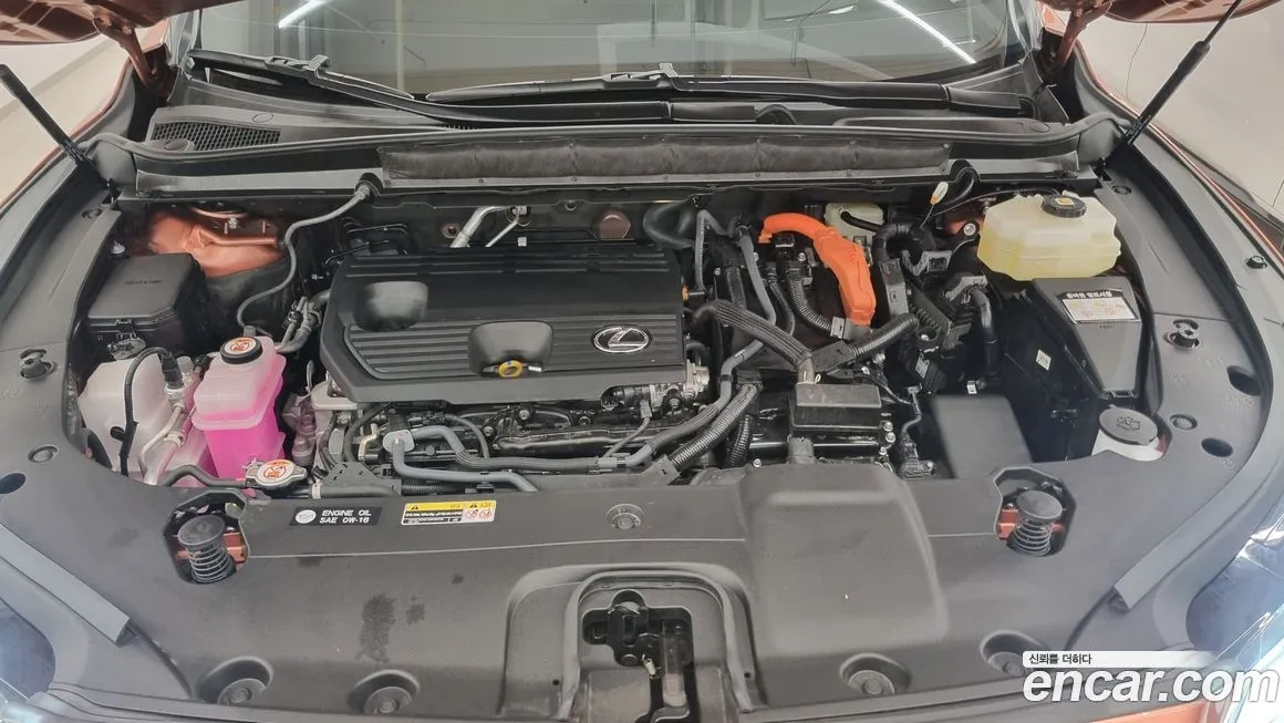Lexus RX 2025 из KR, фото 9