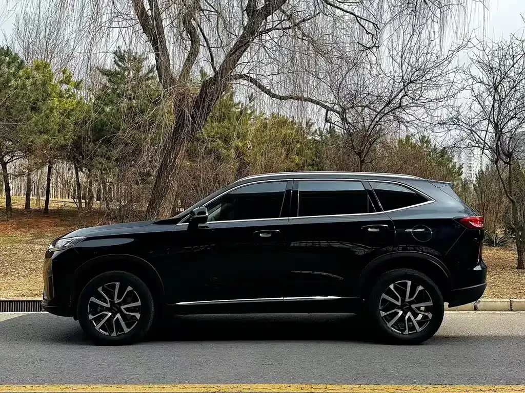 Haval H6 2022 из CN, фото 10