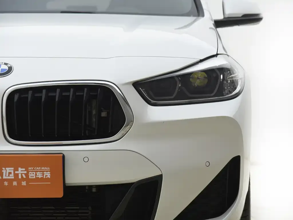 BMW X2 2021 из CN, фото 6