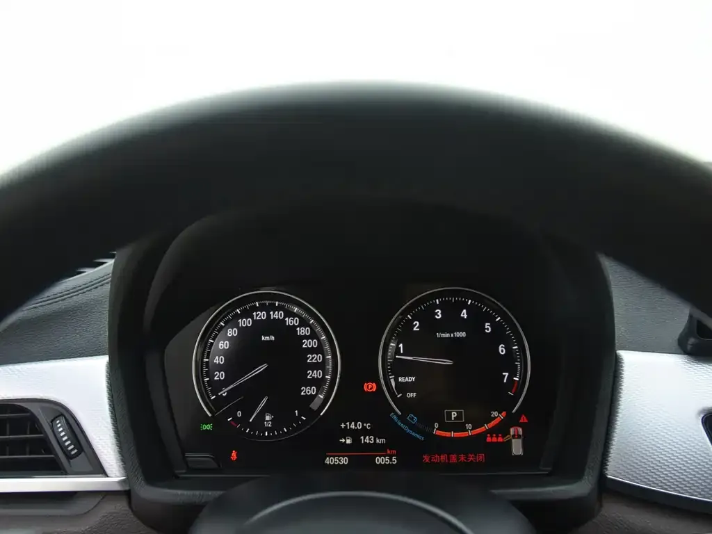 BMW X2 2021 из CN, фото 10