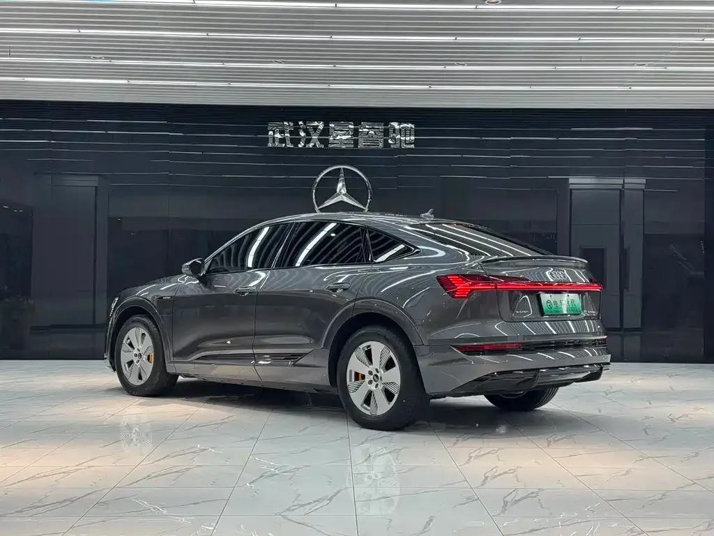 Audi e-tron (Import) 2022 из CN, фото 6