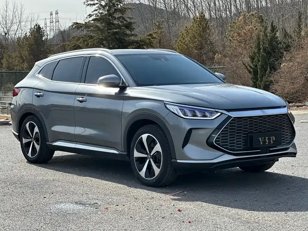 BYD PLUS New Energy — фото 10