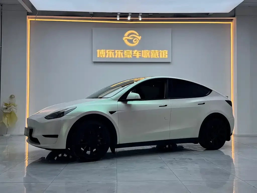 Tesla Model Y 2022 из CN, фото 1