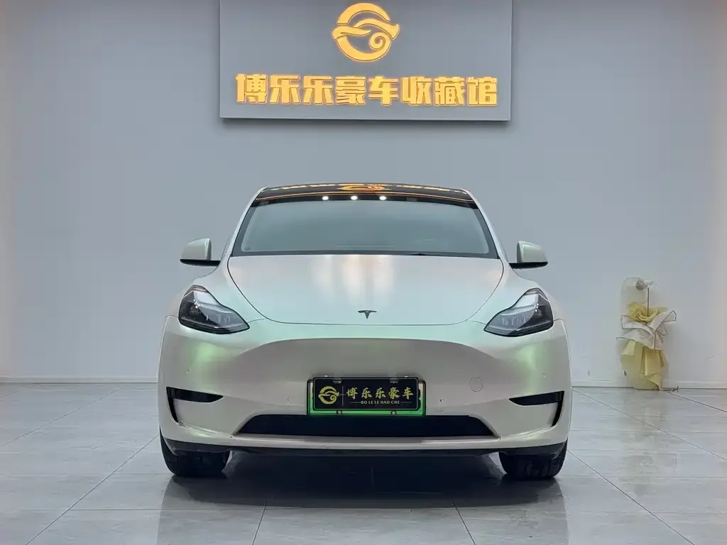 Tesla Model Y 2022 из CN, фото 4