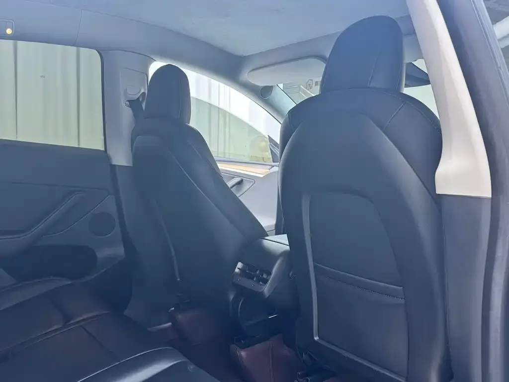 Tesla Model Y 2022 из CN, фото 7