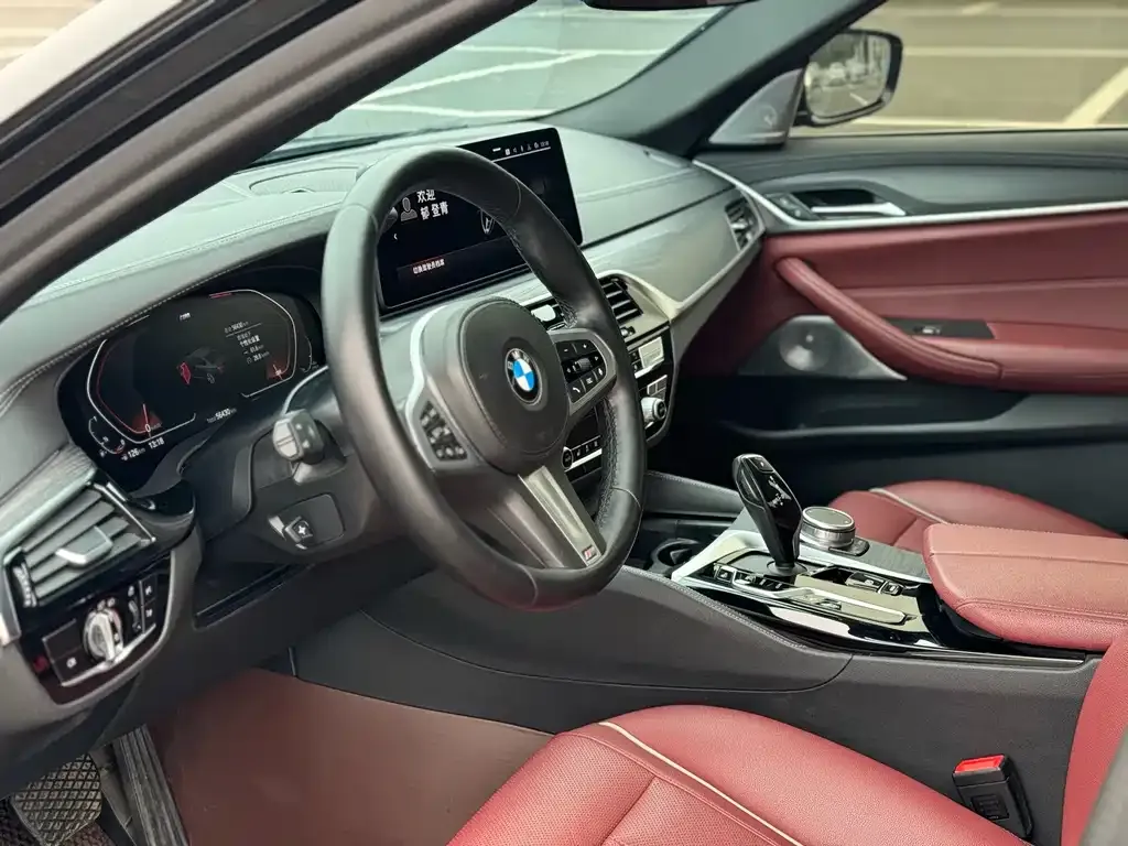 BMW 5 Series 2021 из CN, фото 4