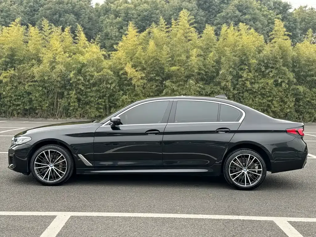 BMW 5 Series 2021 из CN, фото 8