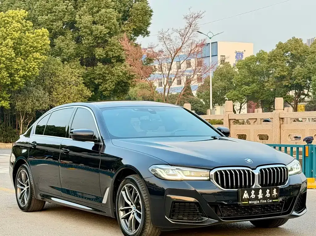 BMW 5 Series — фото 5