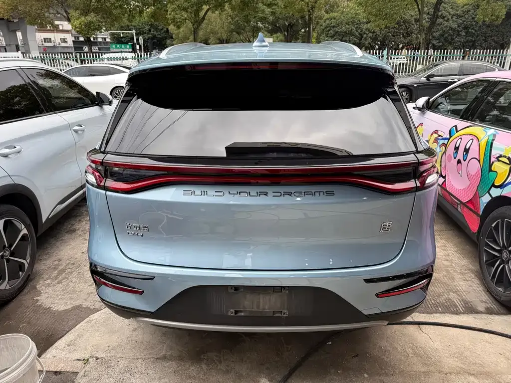 BYD Tang New Energy 2024 из CN, фото 8