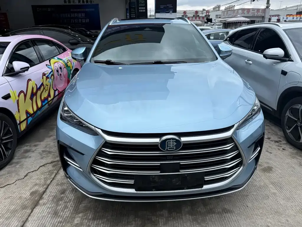 BYD Tang New Energy 2024 из CN, фото 7