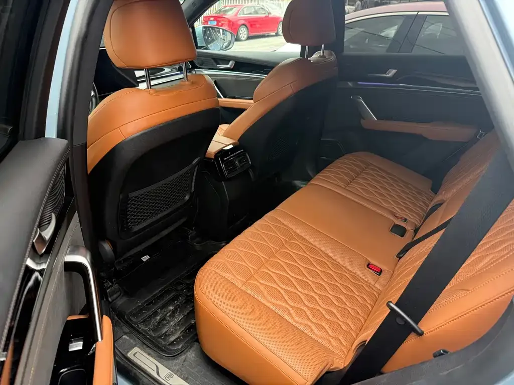 BYD Tang New Energy 2024 из CN, фото 2