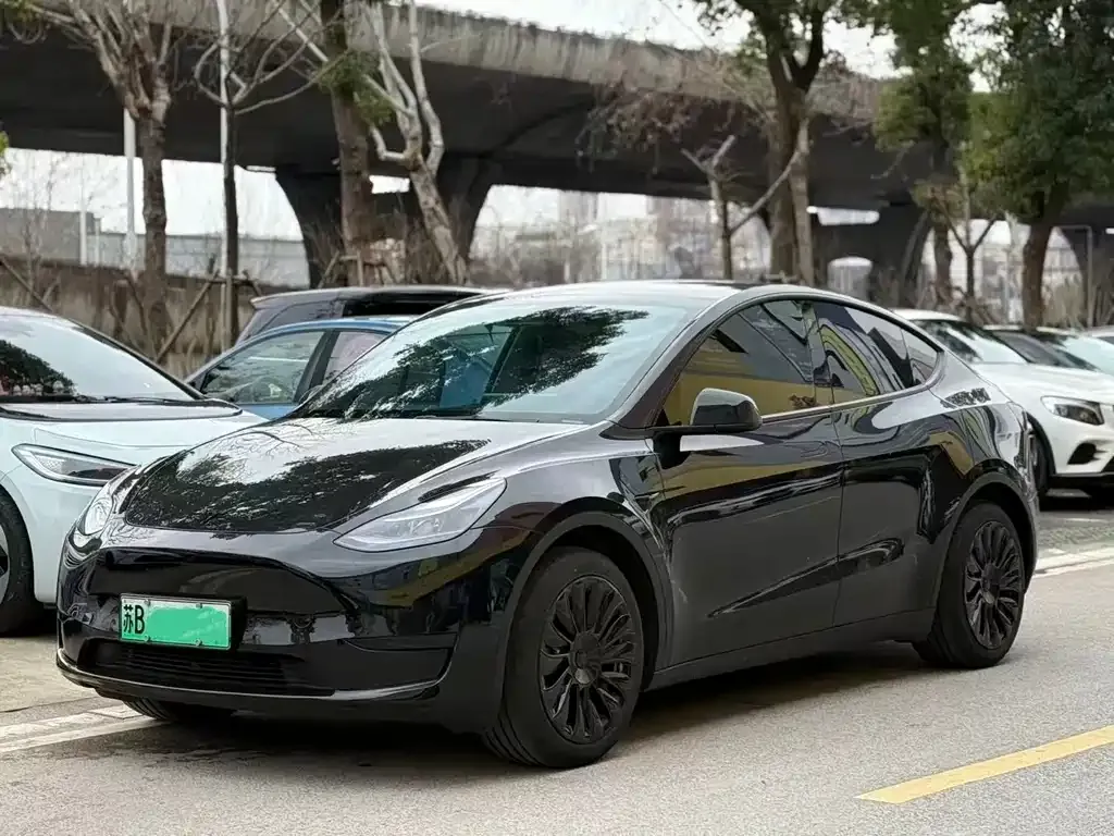 Tesla Model Y — фото 1