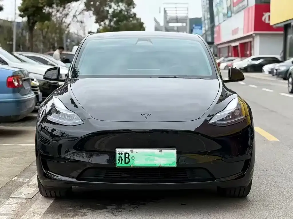 Tesla Model Y — фото 9