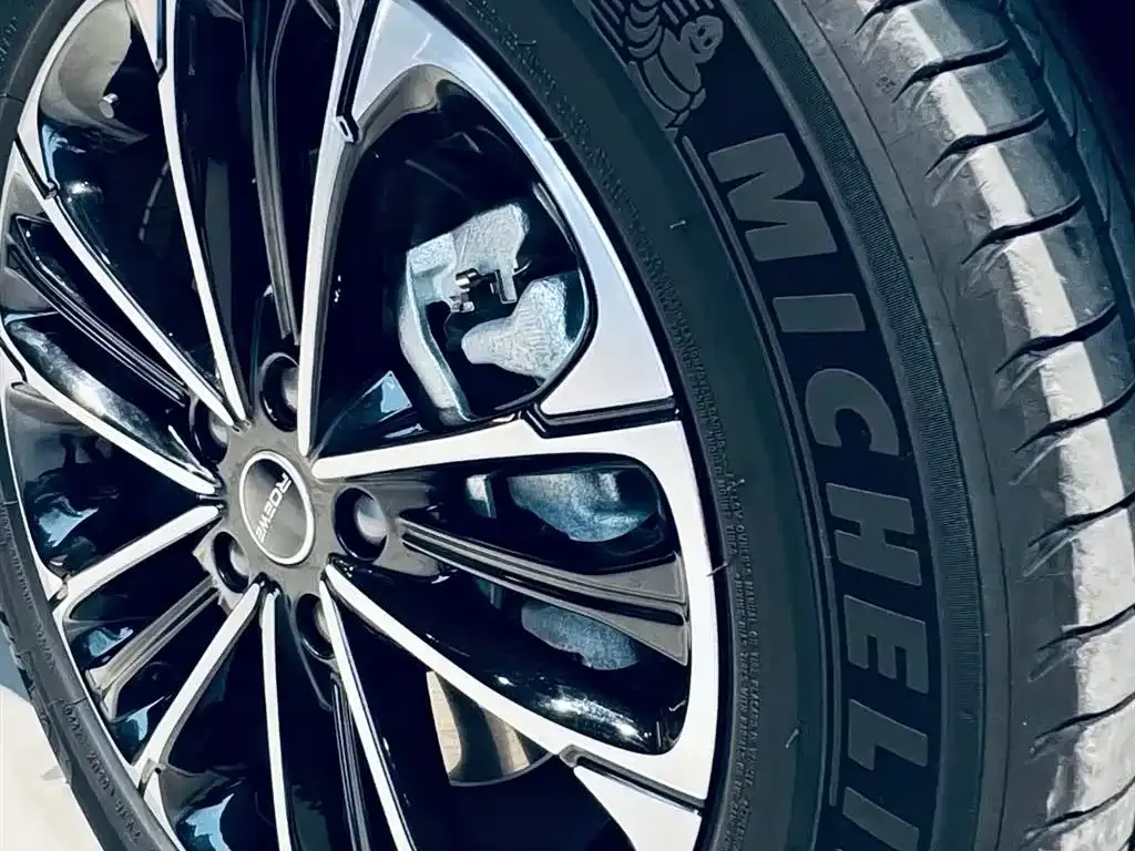 Roewe iMAX8 2021 из CN, фото 6