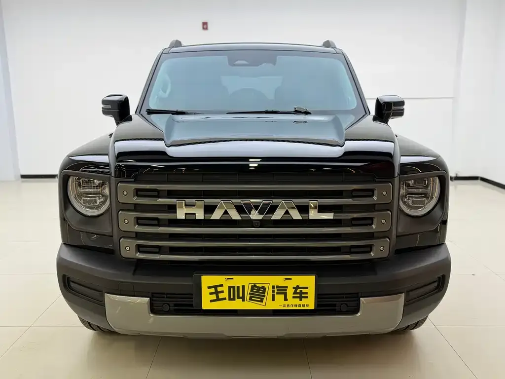 Haval Menglong New Energy — фото 2
