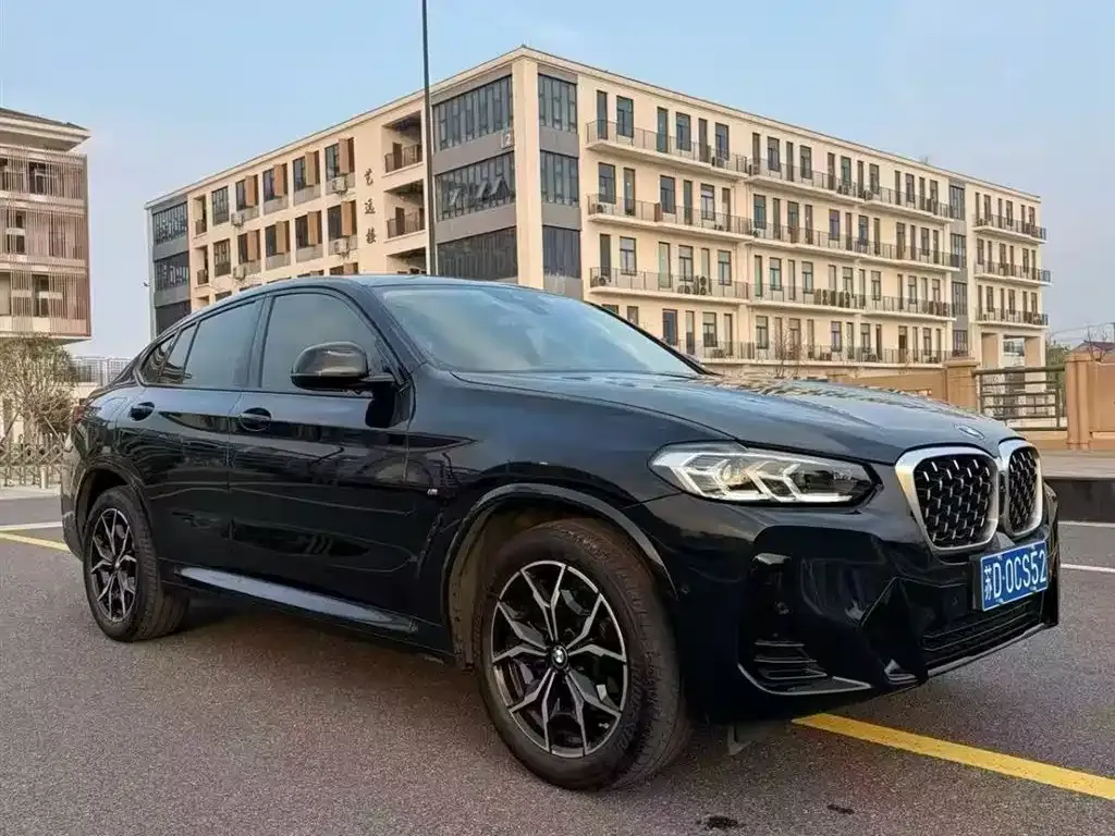 BMW X4 2023 из CN, фото 6