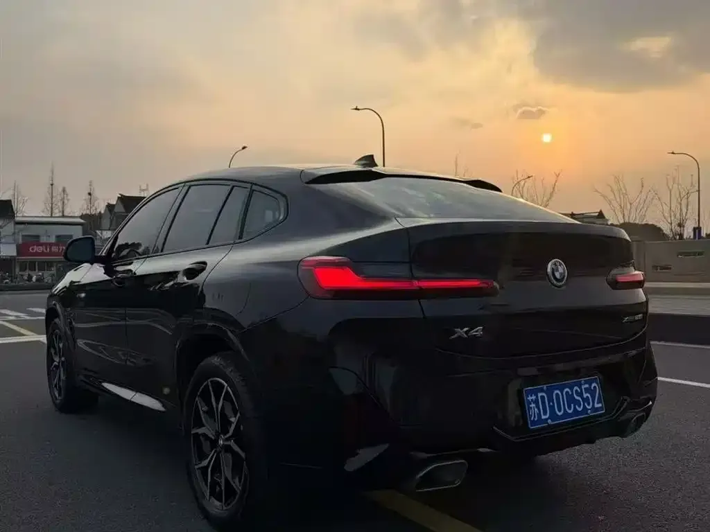 BMW X4 2023 из CN, фото 2