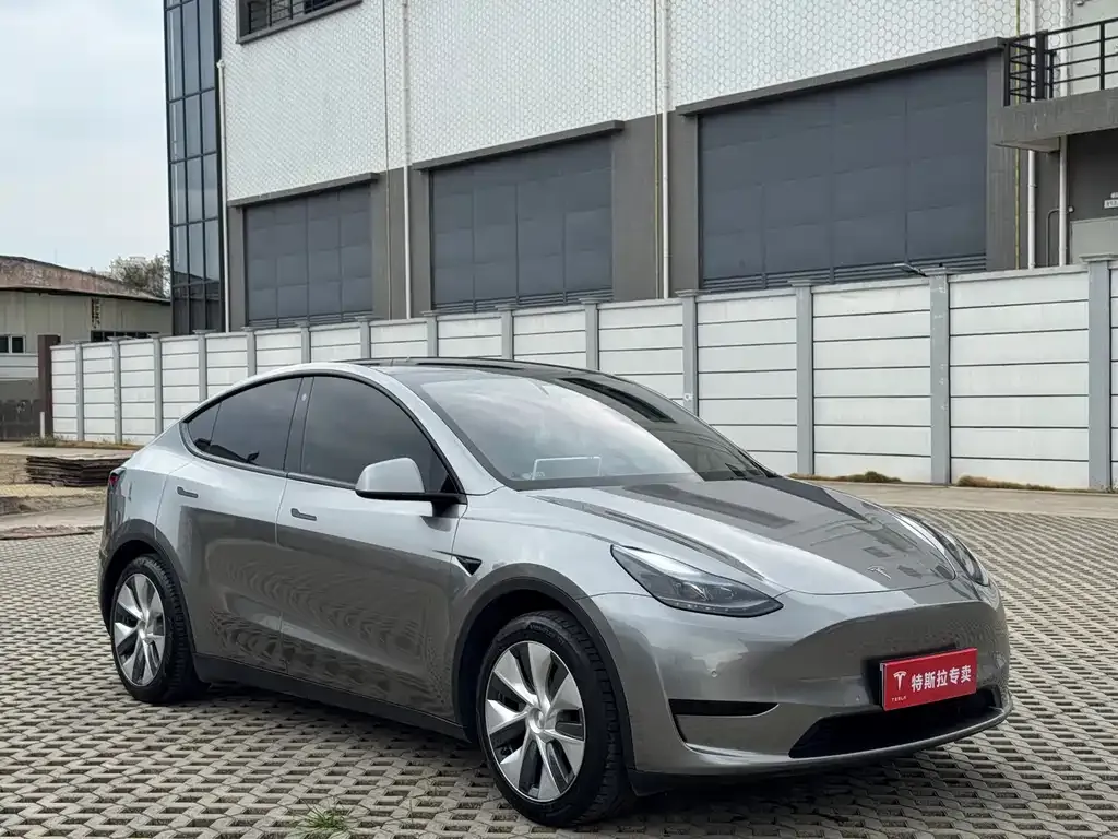 Tesla Model Y — фото 9