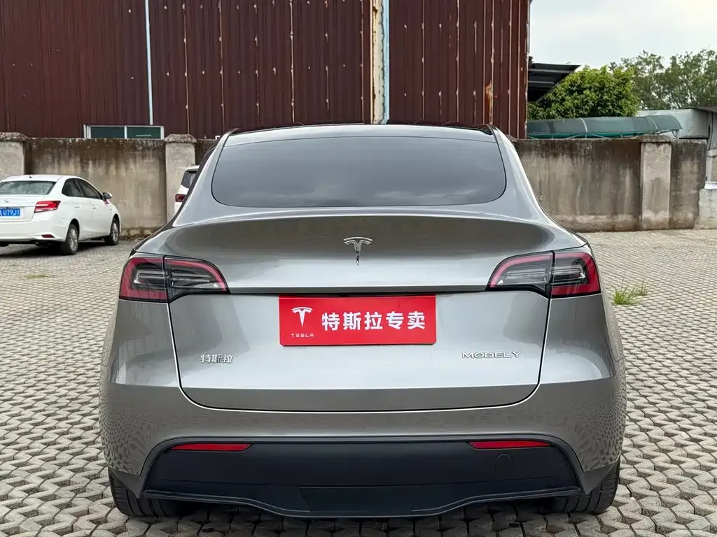 Tesla Model Y — фото 10
