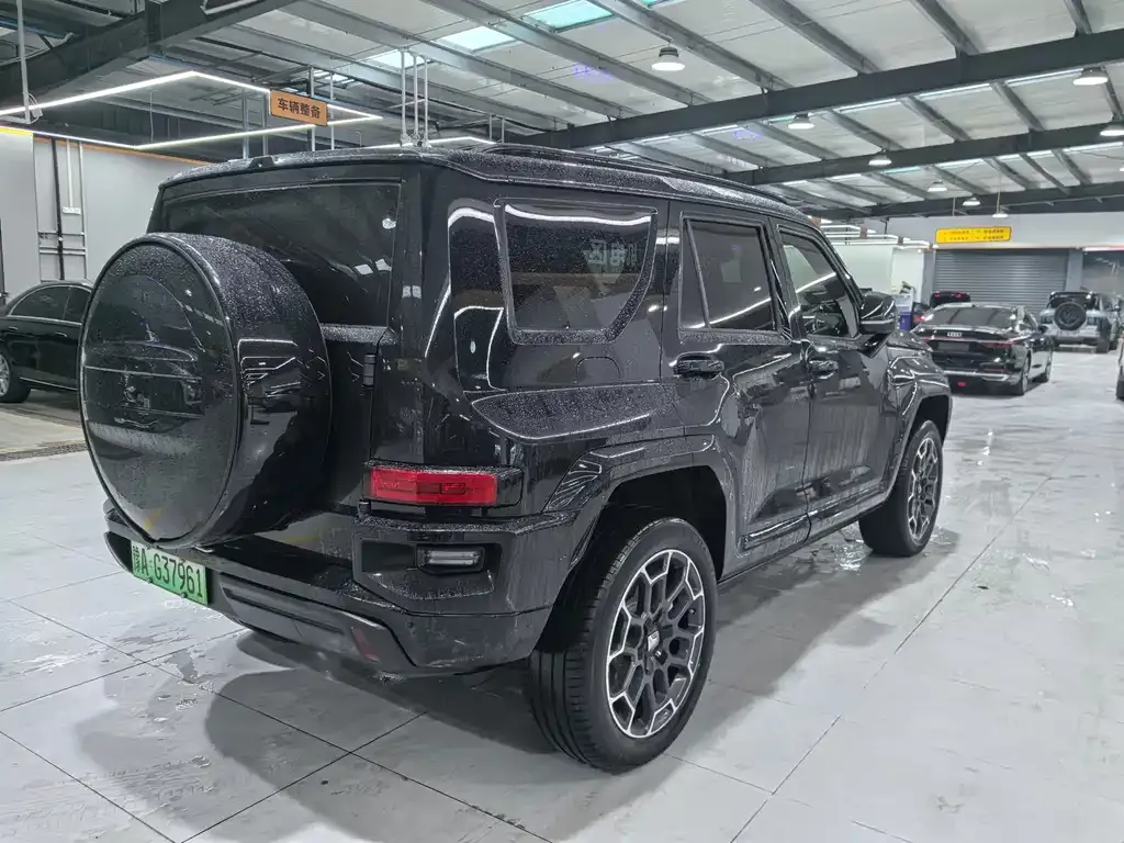 Tank 700 New Energy 2024 из CN, фото 4