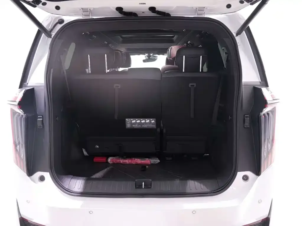 GAC Motor Trumpchi M8 2023 из CN, фото 6