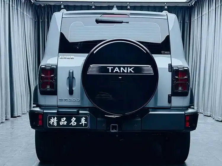 Tank 300 2024 из CN, фото 4