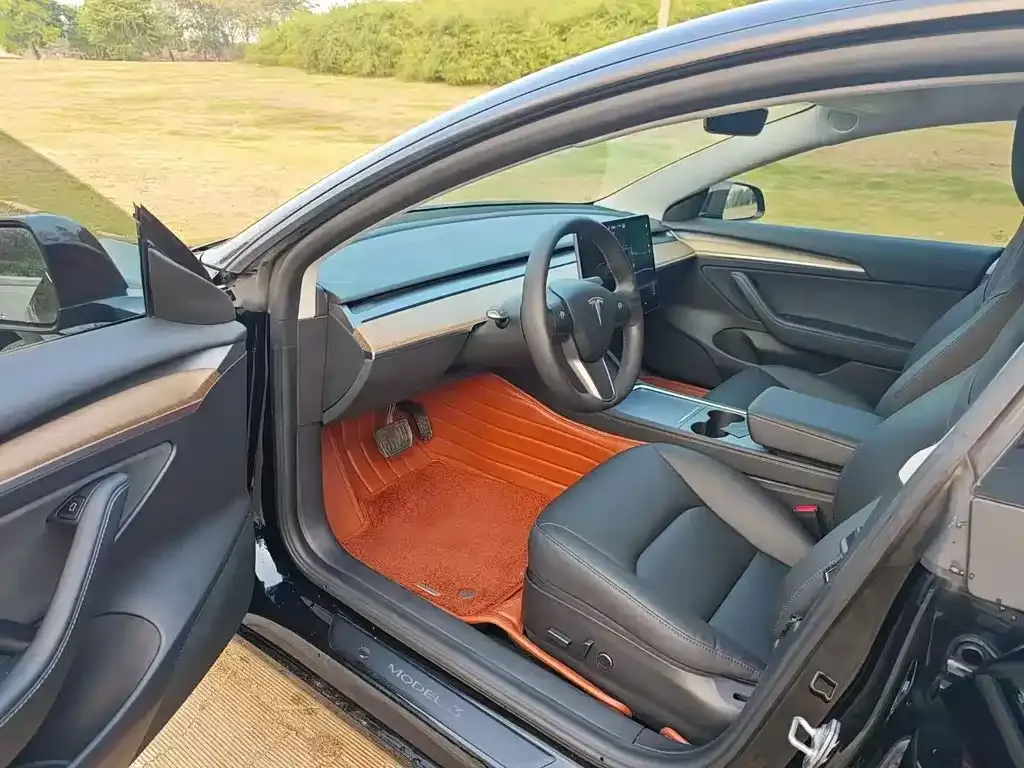 Tesla Model 3 2021 из CN, фото 6