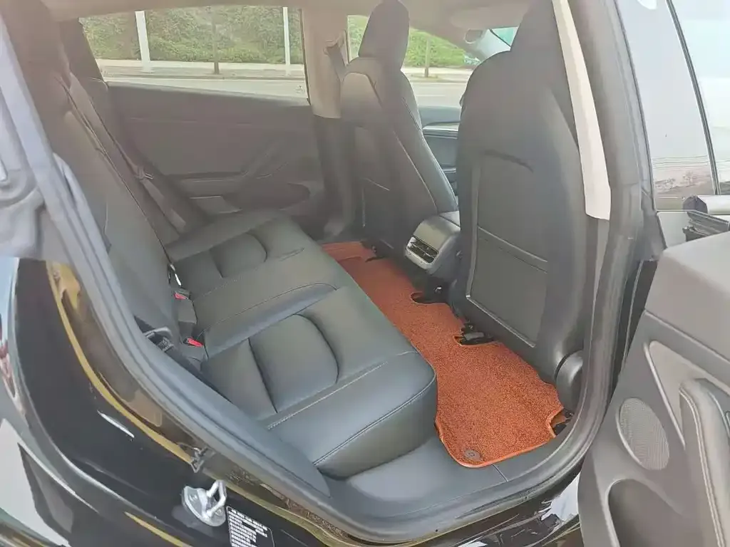 Tesla Model 3 2021 из CN, фото 2