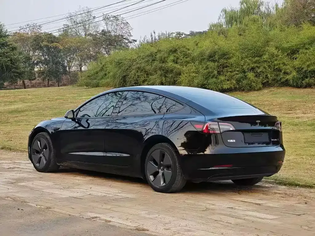 Tesla Model 3 2021 из CN, фото 5